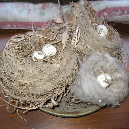 Nido Di Rondine Anfiteatro Morenico 칼루소